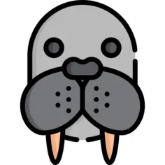 Walrus