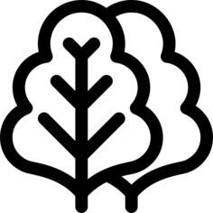 沙拉