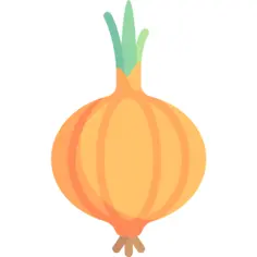 Onion