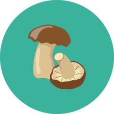 蘑菇