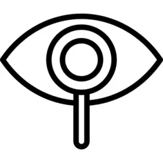 Eye