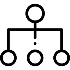 Organization