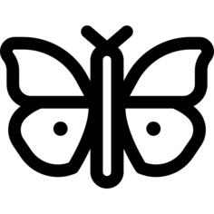 蝴蝶