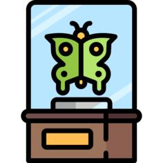 蝴蝶