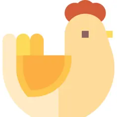 Hen