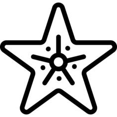海星