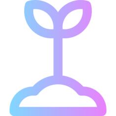 投标