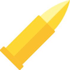 Bullet