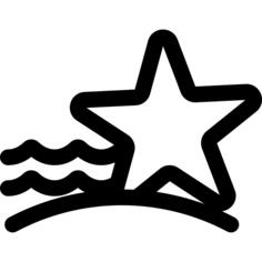 海星