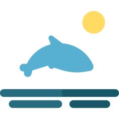 海豚