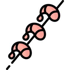虾