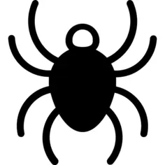 Insect