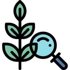 Herb