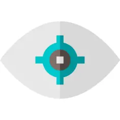 Vision