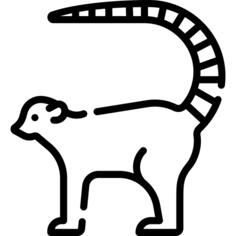 狐猴