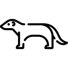 Mongoose