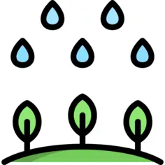 雨