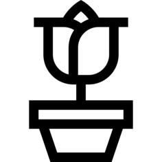 玫瑰