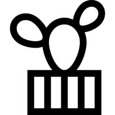仙人掌