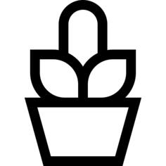 仙人掌