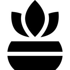 Fern