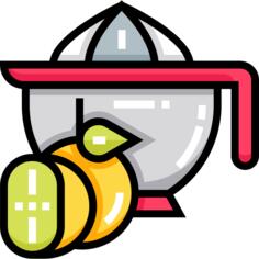 Juicer