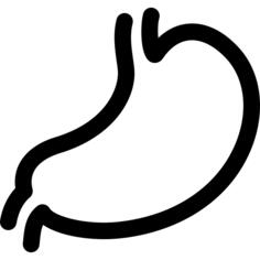 Stomach