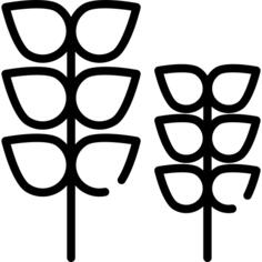 Plants