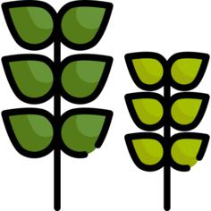 Plants