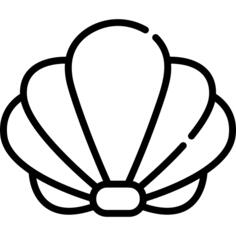 贝壳