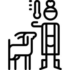 兽医