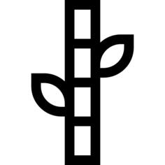 Bamboo