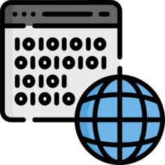 二进制代码