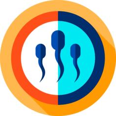 Spermatozoon