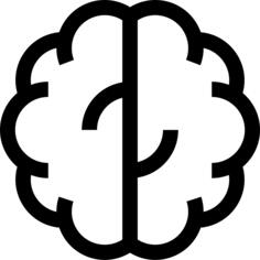 Brain