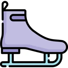 Ice skate