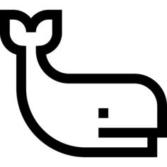 抹香鲸