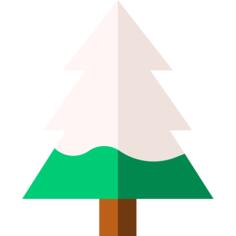Pine tree