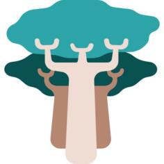 Baobab