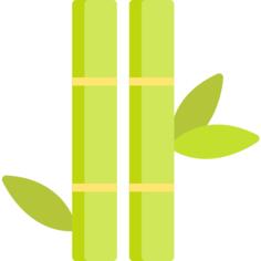 Bamboo