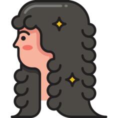 Hair curler