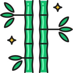 Bamboo