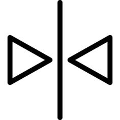 Mirror horizontally