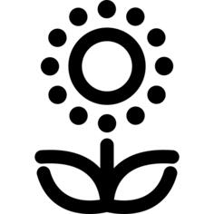 向日葵
