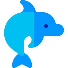 海豚