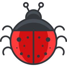 Ladybug