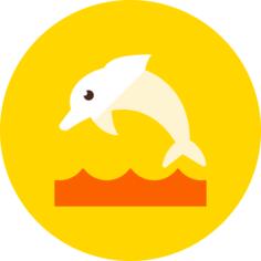 海豚