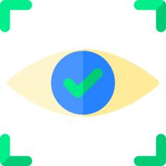 Eye