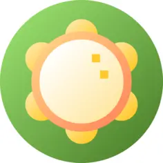 Tambourine
