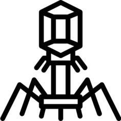 病毒